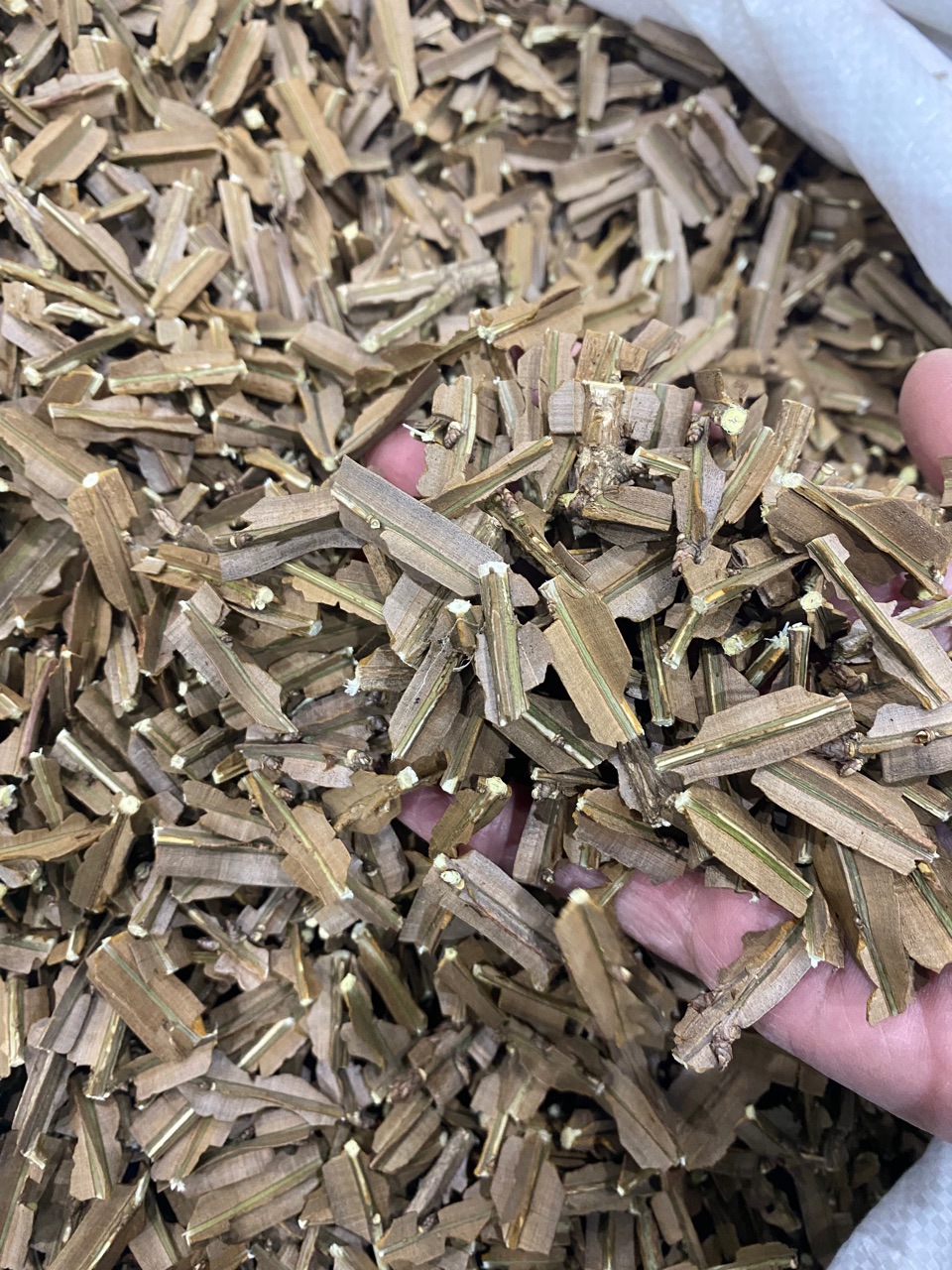 Dried Euonymus Twig Gui Jian Yu 鬼箭羽 500g Traditional TCM Herb from Yunnan key features