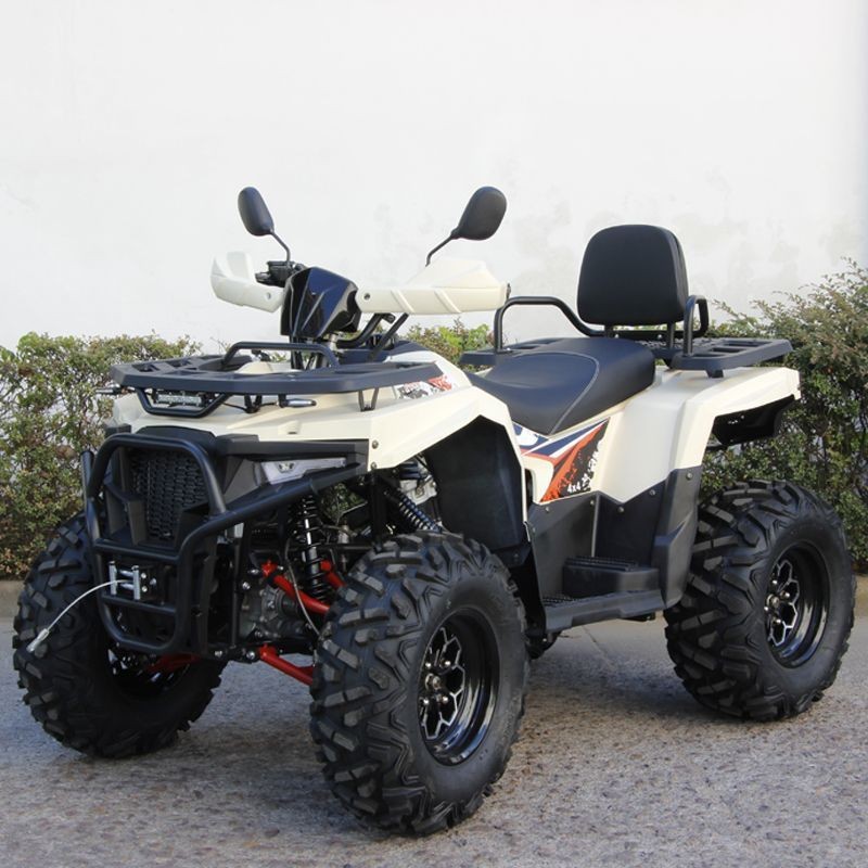Motocicleta todoterreno 4WD 200CC 300CC Vehículo de playa para adultos ATV Raptor F1 bicicleta de montaña
