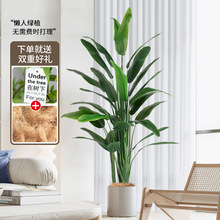 WLGֲB҃ȼֲQm͏d߶pb[