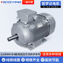 �����_1LE8늄әCIE4��Ч�͉���������늙C1LE8004���ஐ��늄әC