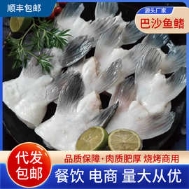 冷冻巴沙鱼鳍商用海鲜鮰鱼鳍回鱼翅鱼鳍鲜冻海鲜水产商用批发