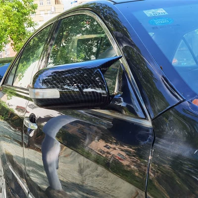 horn ear shell cover modified – Other Car Modifications