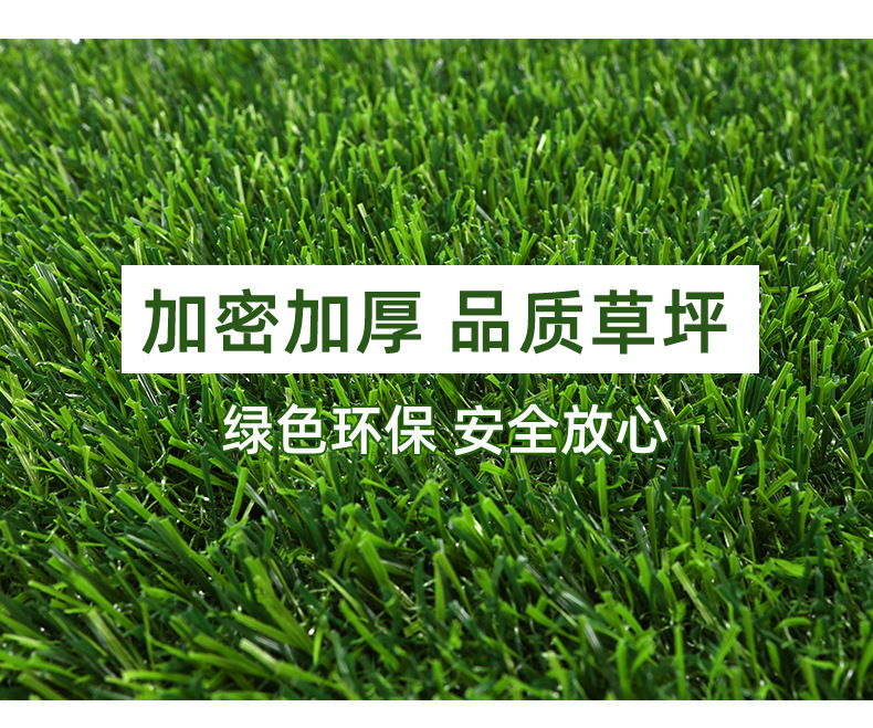 彩色草皮详情_06.jpg