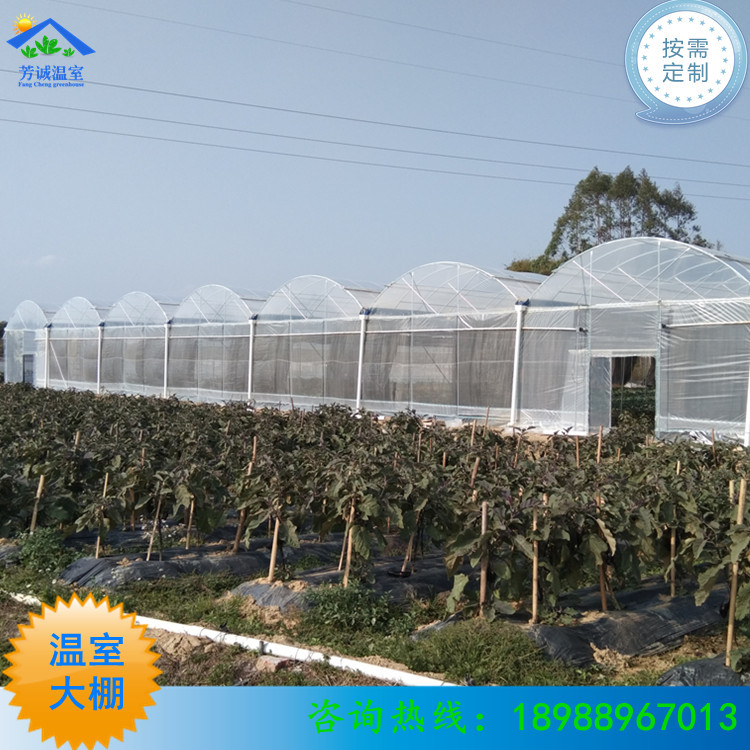 连栋温室大棚建设热镀锌钢管骨架透明薄膜内置遮阳网通风系统热卖
