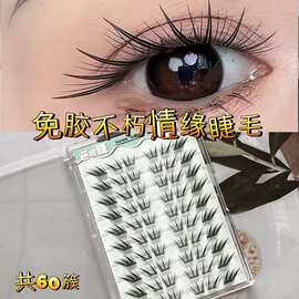 自粘款不朽情缘假睫毛上眼轻盈无感舒适自然又甜又盐清透自然