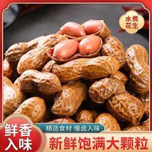 卤水水煮花生五香熟花生五香味花生颗粒饱满卤汁花生卤味咸味花生