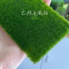 真水草马里莫藻片耐活百年幸福海藻球网片版操盘淡水植物鱼缸装饰