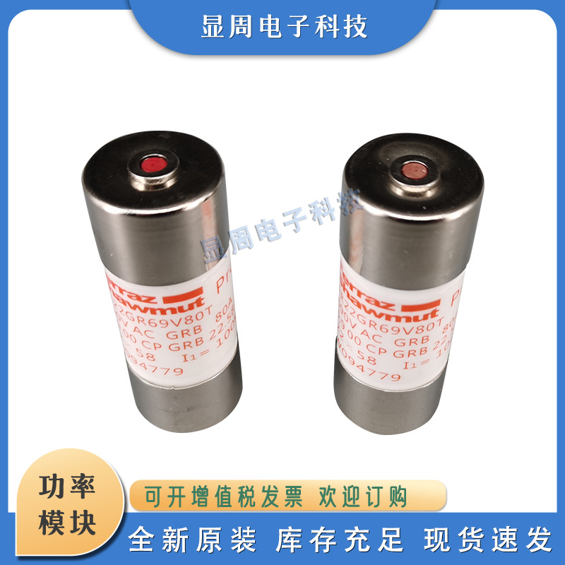 全新电保险丝熔断器FR14AR69V50	S1027334 FR22GR69V12T	W1018620
