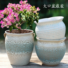 ��Ŵ�ھ�������÷�ʦ�¼���������÷�����մ�͸�����⻨�����