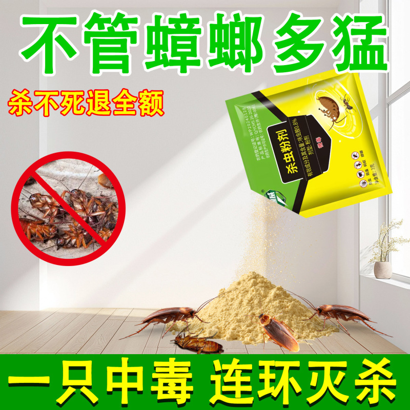 【厂家批发】迪迪威蟑螂药呋虫胺0.8%家用杀虫粉剂全窝端杀蟑饵剂|undefined