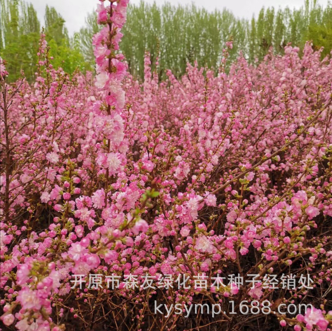 微信图片_20210507122958