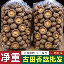 �㹽��؛500g�r���Օ���؛���o�������Ҝ�ʳ�Ĺ���������l���l