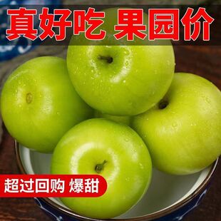 ţ�̴����������Fժ�F�l���r�������ۗ��������r���ЋDˮ��