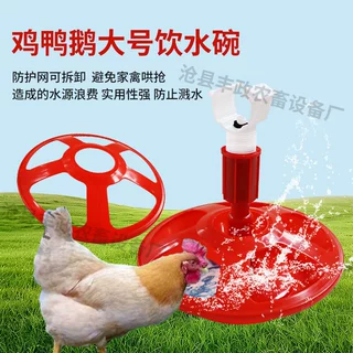 新型定制大号鸡鸭鹅自动饮水碗厂家直销养殖场家禽自动喝水饮水器
