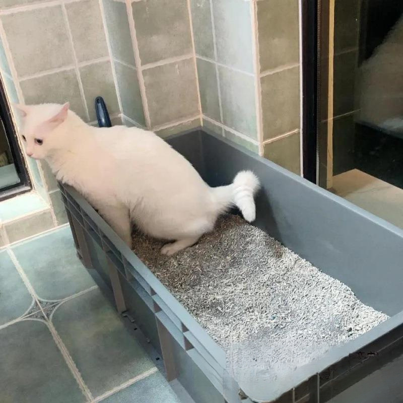 猫トイレサイズ 特大 メインクーン猫 巨大コンテナ ラージターンオーバー フルオープン ジャイアント デフォルト|undefined