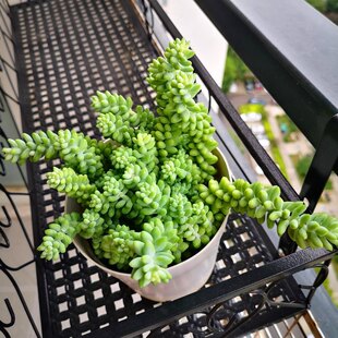 Y񉋶Ⱥ^ֲϘMϾGֲ҃ȴ⻨