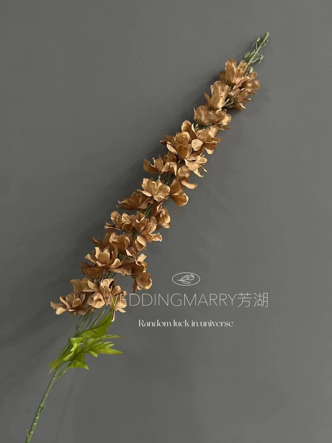 微信图片_20240928091235