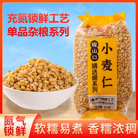 新小麦仁米农家小麦粒粗粮糙米五谷杂粮新鲜麦子去皮胚芽米