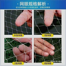 ���ֹ������R���W�֒��W�������νz�~�������W�~�W���y��ʽ�����R