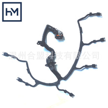 适用曼卡车发动机线束 51254136256 51254136417 TD0657246