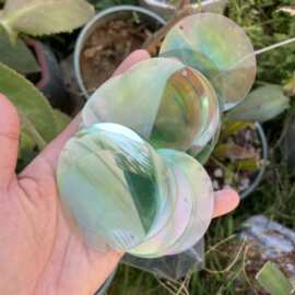 仿珠片 5mm-77mm圆形幻彩透明彩浅绿色亮片手工饰品吊片闪片