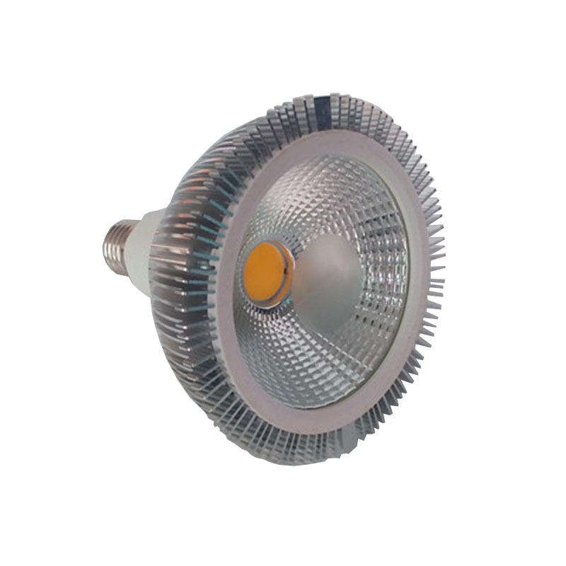 厂家直销 调光PAR38灯 15W E27 led帕灯 COB车铝PAR38 质保两年
