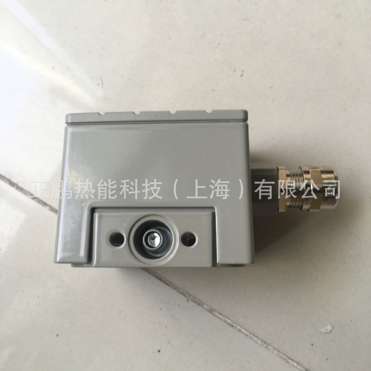 DUNGS压力开关LGW50A4/2压差开关优惠质保一年