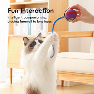 �羳�ԄӶ�؈��������������������˽␞��؈������܉�E��A19