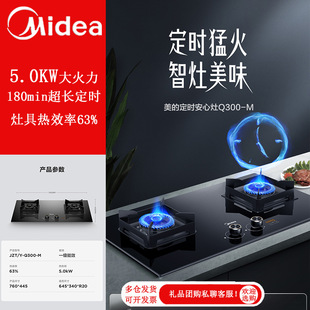 ��������ȼ������Ȼ����ú�����p�����Ƕ��ʽ���JZT-Q300-M