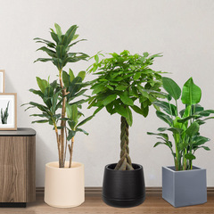 メーカーの卸売りは陶磁器のプラスチックの植木鉢の大型の着地をまねます。