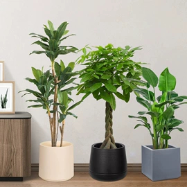 花盆装饰;装饰花瓶;花盆容器