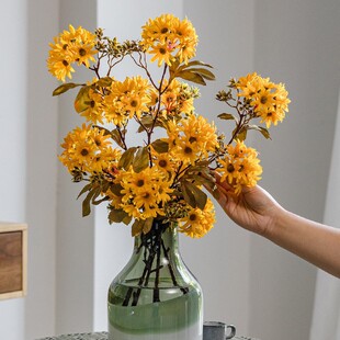 ģ�M��֦Ұ�ջ��b͏d�����b���YƷ��̨���÷Շ�������