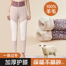 妈妈棉裤女秋冬款加绒加厚打底裤内穿高腰护膝老人保暖毛裤特厚冬