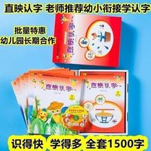 直印教育全套12册直映认字教材卡片儿童学前幼儿园阅读与识字书