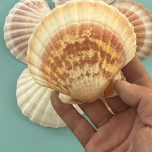 ��Ȼ����ؐ����ؐ�~�ľ�з������Q���~���쾰�[��ˮ�����b�