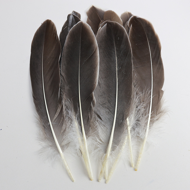 Factory feather wholesale primary color goose feather large floating kindergarten handmade creative accessories craft decorative feather accessories