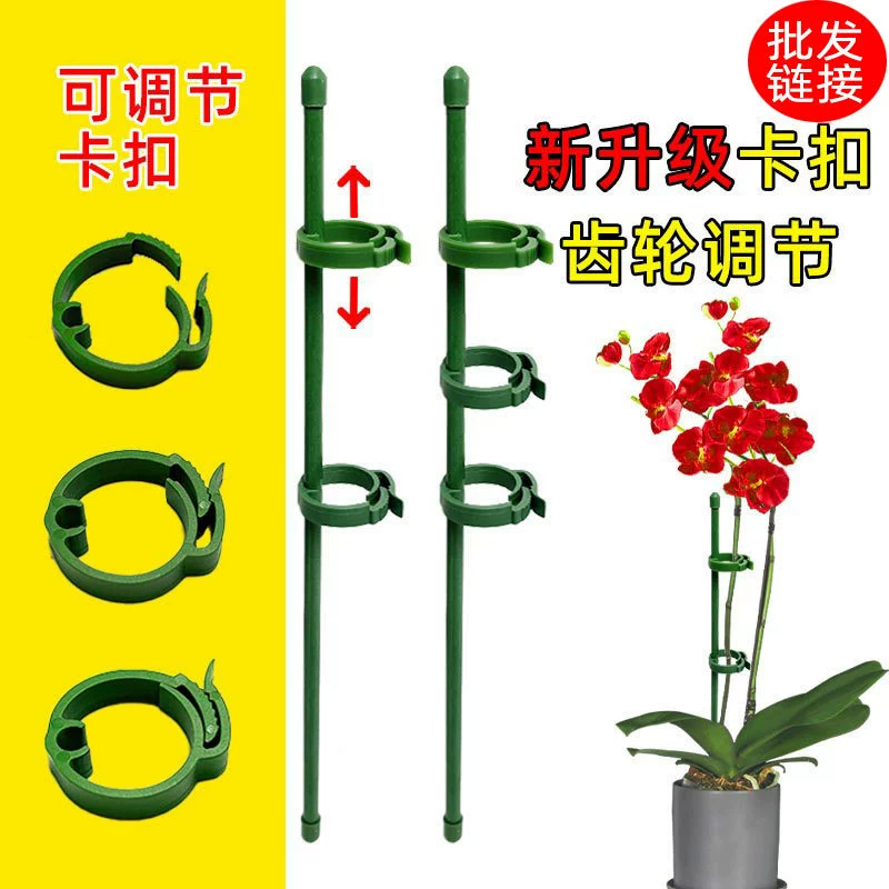 Новая модернизированная мясистая фаленопсис Специальная подставка для цветов растение в горшке цветок для укладки опорный стержень с фиксированной защитой листьев