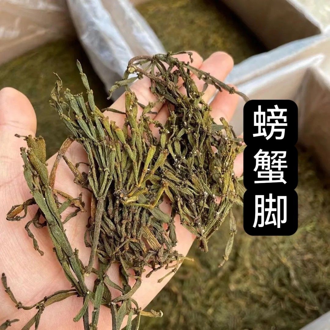 云南螃蟹脚茶野生古茶树寄生茶正宗螃蟹脚50-500克