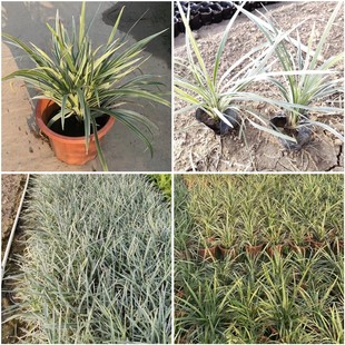 �����y߅�� �y߅���A�� �y߅���� ͥԺ���@�G���ر���