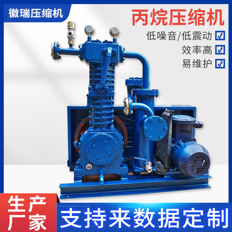 徽瑞厂家直销ZW0.4-16-24皮连丙烷活塞式压缩机批发低噪音低震动