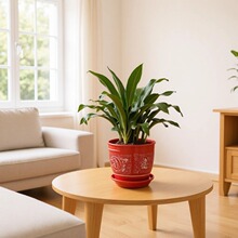 ���A�t�����~��߅�f����ӆ����w�����ף�ۻ��ܿ͏d�̨���ԾGֲ