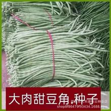 Ŵ𶹽ǷNӿ߮aﲥLN׷N߲˷N