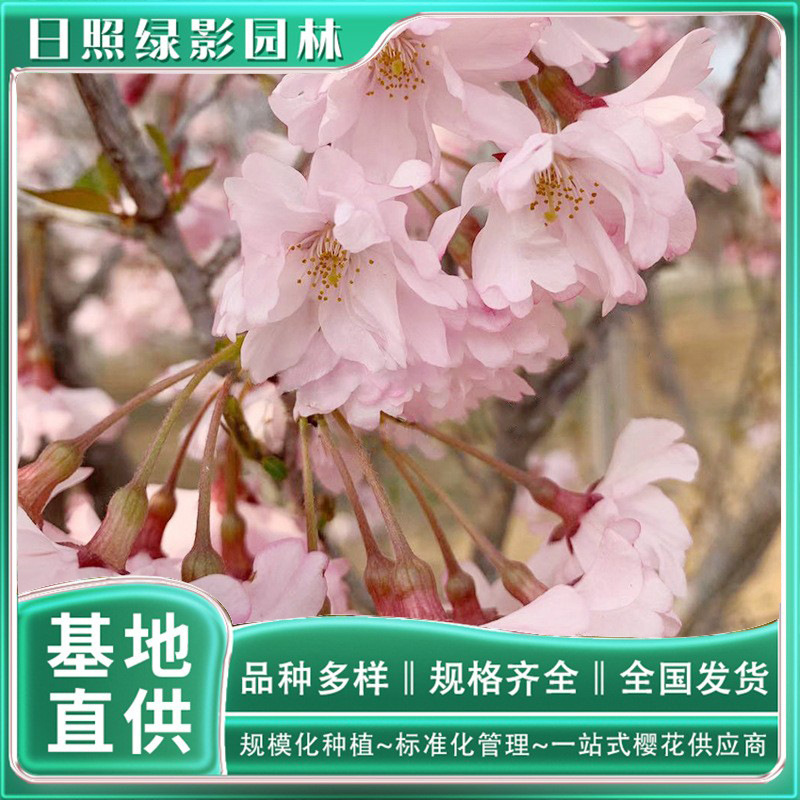 12082684191_1004685042 副本.jpg