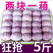 子山东十足红皮大蒜农家自种头干包邮新鲜干批发蒜紫皮大蒜潮流