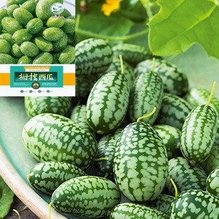 Ĵָ����С���ϷN���ļ�����Нh���8424���SƤ�tȿ�o�ѹ�������