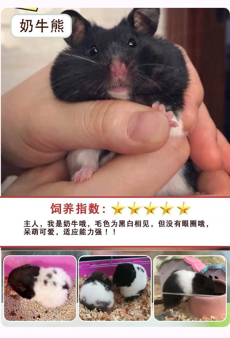 63aae1c9-0365-40de-ab6d-6e48de4f4f99.jpe