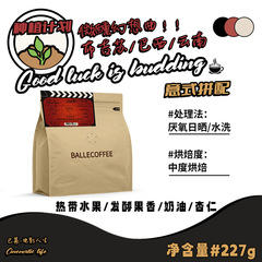 プレミアムアラビカコーヒー豆メーカー卸売 中煎りアメリカンミルクコーヒー イタリア風ハンドドリップコーヒー 粉末微煎りファンタジーカ