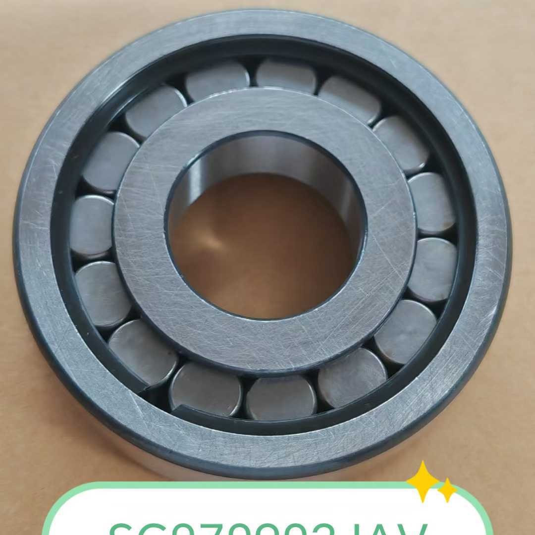 现货供应F-217411.01.RNN汽车变速箱轴承 减速机轴承非标轴承圆柱