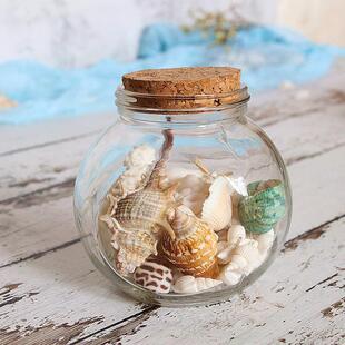 Natural Shell Wishing Bottle Beach Conch Drift Bottle Healing Ocean Bottle Glass Bottle Home Decoration Ornaments