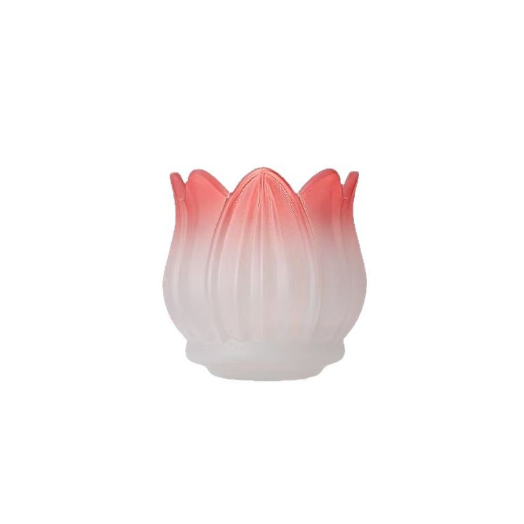 Tulipan vela